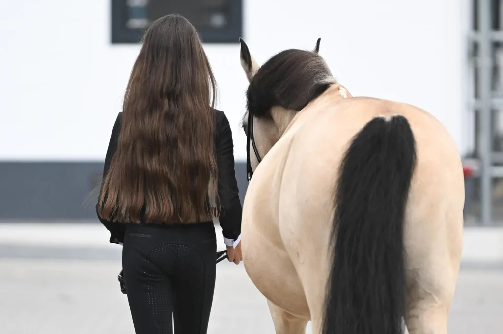 Pferd gesund und aktiv – präventive Maßnahmen für Wohlbefinden und Gesundheit